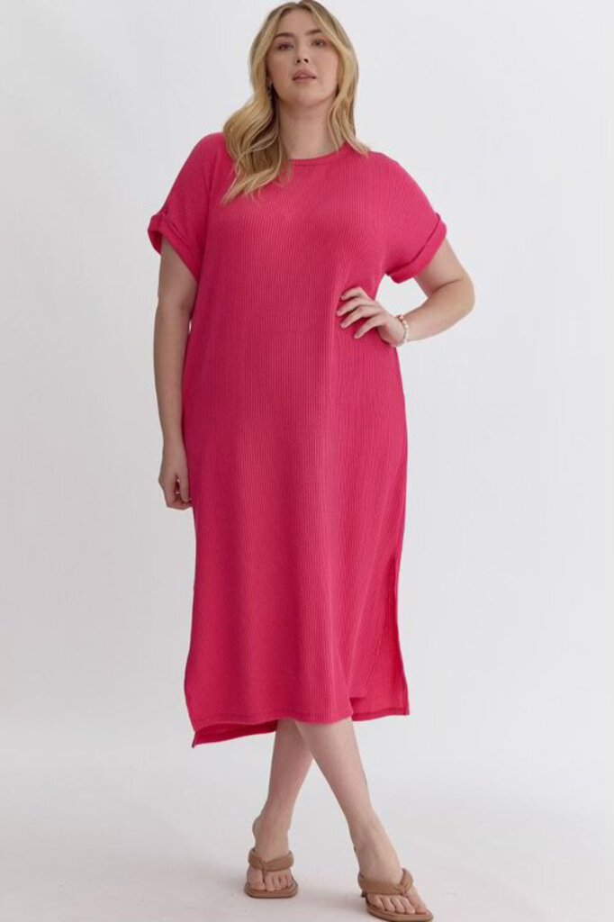 Curvy Pink Textured Dress