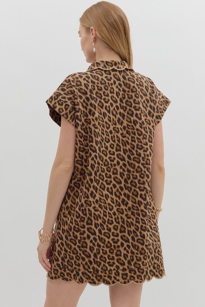 Animal Print Scalloped Neck Dress