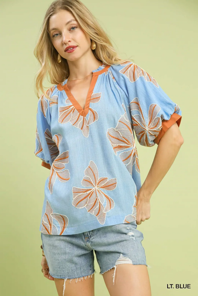 Light Blue flower Embroidered V-Neck Blouse